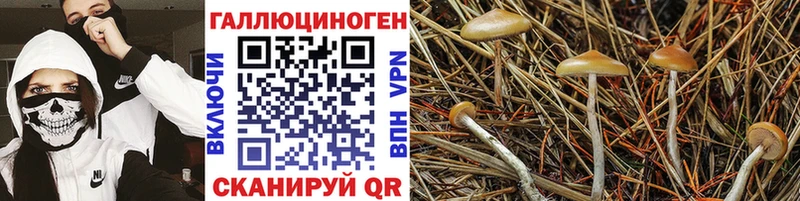 Псилоцибиновые грибы ЛСД Чебаркуль