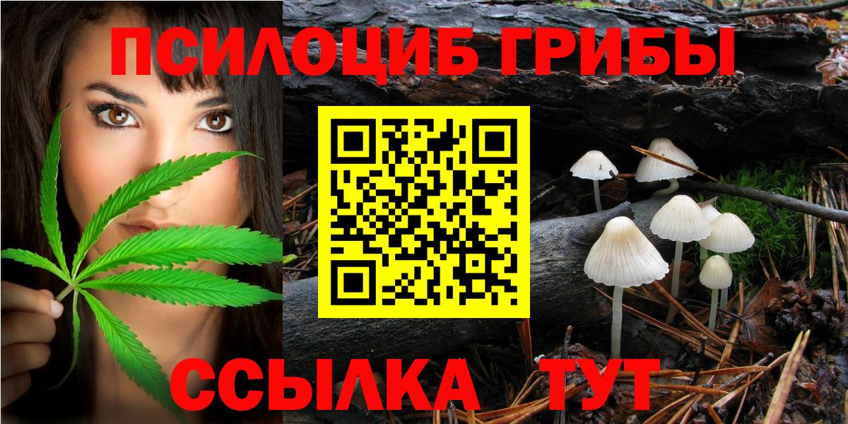 Галлюциногенные грибы Psilocybe  Вход с VPN  Чебаркуль 