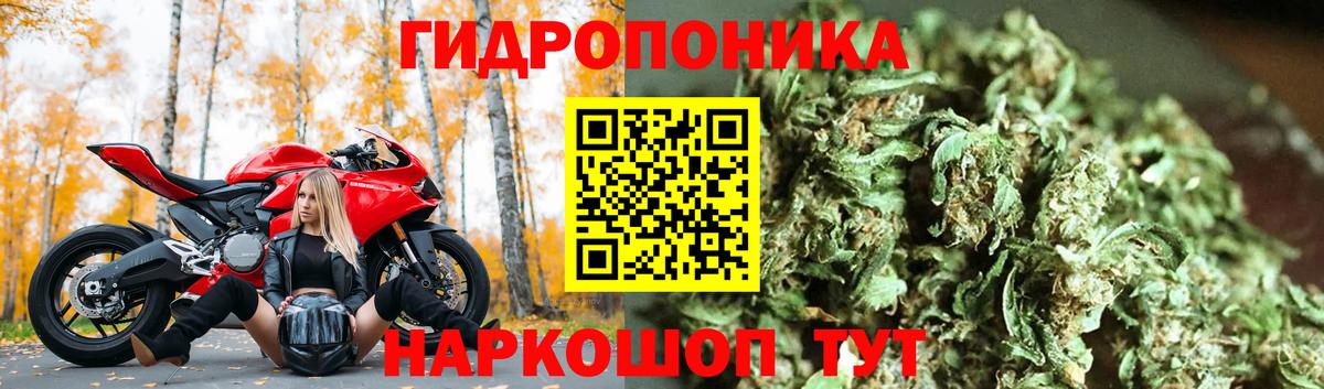 Бошки марихуана индика  Вход с VPN  Бошки Шишки план  Чебаркуль 